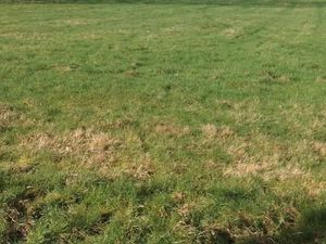 Terrain 990 m² La Baroche Sous Luce