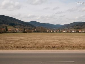 Terrain 3 600 m² Gerardmer