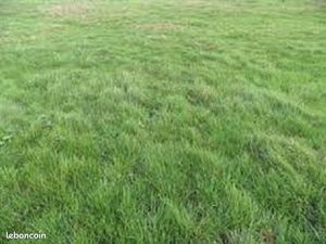 Terrain 1 125 m² Mouy Sur Seine