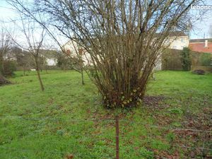 Terrain constructible