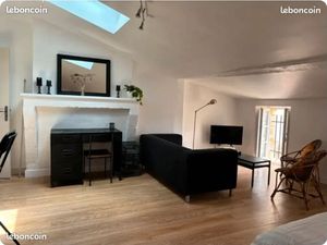 Grand Studio St Michel Calme 42 m2 au sol