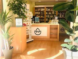 Local commercial 73 m²