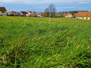Terrain plat viabilisé 1095m² Phalsbourg
