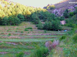 Vente terrain et bergerie
