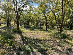 Terrain 1 327 m² Lalbenque