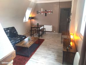 T2 45 m2 entièrement meublé hyper centre