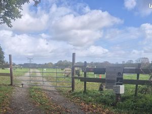 Terrain Agricole 5 hec Prairie Chevaux