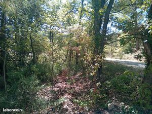 A louer terrain agricole