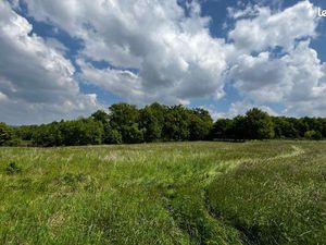 Terrain agricole 9750m2