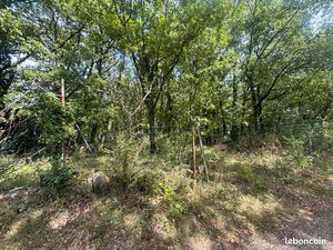 Parcelles de forêt à vendre – Rouffiac (81)