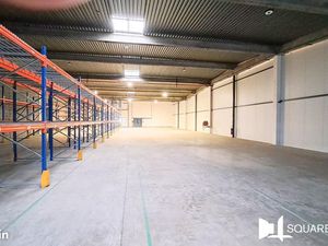 Local d'activité 1 000 m²