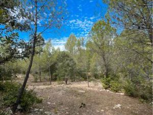 Terrain de loisir 6510 m2 - Source eau - Oliviers