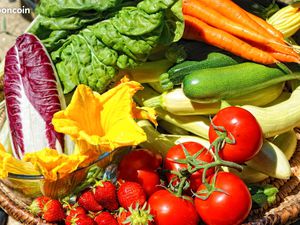 Location jardin potager bio