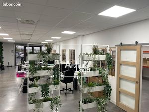 Local commercial 266 m²