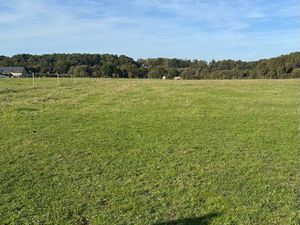 Recherche location terrain