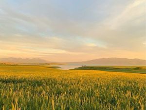 Recherche terrain urgent