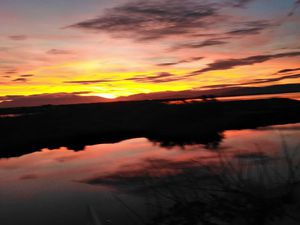 3 Pièces · 47 m²3 Pièces  47 m² · Le Barcarès 66420 · Quartier Centre-ville - Village