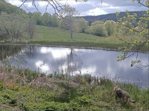 Terrain ZONE Nature Tourisme 3HA  étangs  Mt-Mezenc