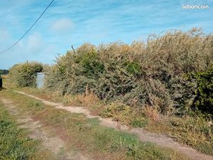 Terrain 2000m2 ile Re 129000e