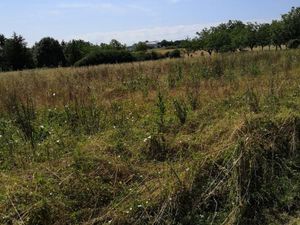 Terrain 1 300 m² Negrondes