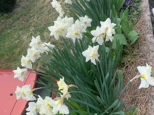 Garage à louer avon 7minutes gare 120