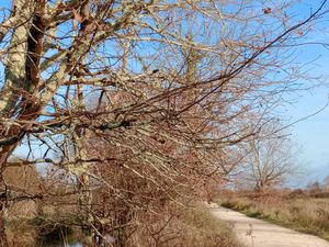 Urgent recherche logement