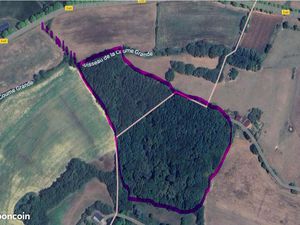 Bois / Forêt de feuillus de 5.3 hectares