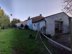 Maison avec grand terrain