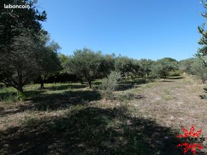 Terrain 1326 m² CAPESTANG