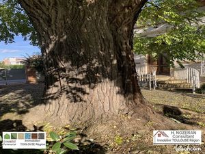 Maison 6 pièces 161 m²