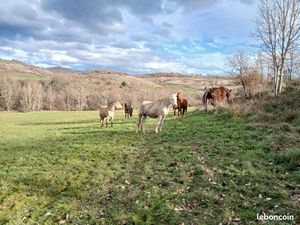 Recherche terrain agricole