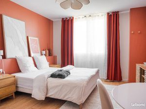 Lyon centre appartement meublé