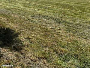 Terrain 1 080 m² Saint Sulpice De Cognac