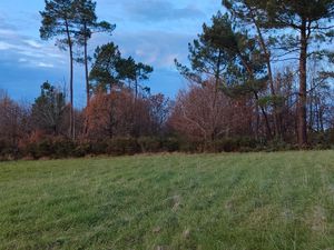 Terrain 1 172 m² Lanquais