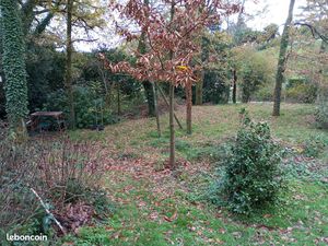 Terrain constructible