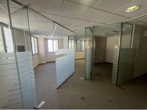 Local commercial 260 m²