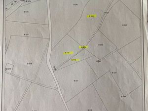 Vigne Syrah - Lieu dit St Vincent