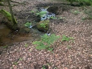 Terrain non constructible