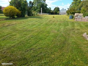 Terrain 1000 m2 cloture