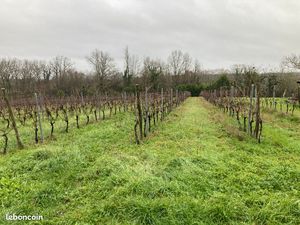 Terrain 1 900 m² Pineuilh