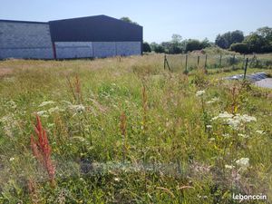 Terrain zoine artisanale