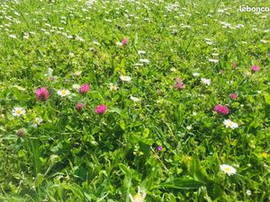 Terrain 354 m² La Plaine Sur Mer