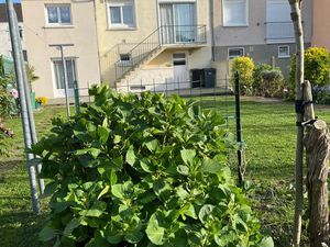 Maison 6 pièces 115 m2 Classe C Le Mans Sud