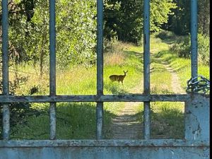 Terrain pour caravane  ou camping-car