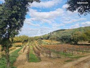 Terrain 89000 m² Lirac