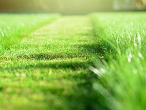 Terrain 495 m² Brest