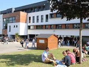 Professeure titulaire recherche T2/T3 avec jardin - Vannes