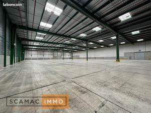 Local industriel 6 037 m²