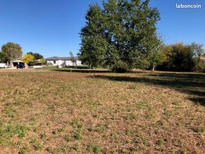 Terrain constructible