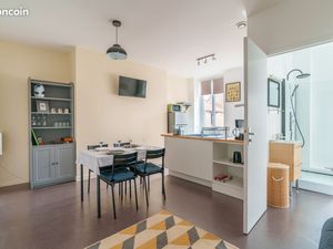 Appartement  vue exceptionnelle sur le Château  43m2